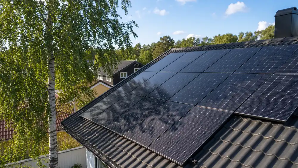 Trädskugga över solpaneler som minskar anläggningens verkningsgrad